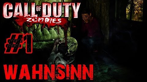 Call of Duty Custom Zombies: WAHNSINN▐ Who do You Think You
