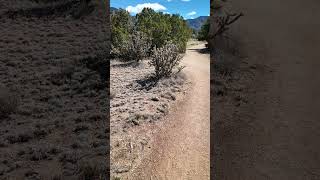 This New Mexico trail after dark will surprise you #hiking #newmexico #adventure