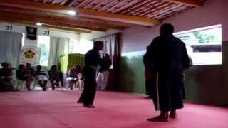 02 Hoshindo Hapkido Self Defense Grand Master Mauro Cesar 9th Dan