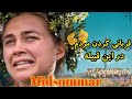 موشکافی و رمزگشایی فیلم Midsommar توضیح کامل داستان نیمه تابستان 