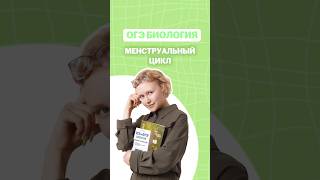 Менструальный цикл #биологияогэ #еленазеленская #умскул #лайфхак