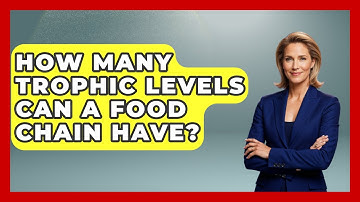 How Many Trophic Levels Can a Food Chain Have? | Explaining Ecology News