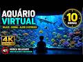 AQUÁRIO VIRTUAL 10 HORAS 🐠 Relaxamento Profundo com Peixes Coloridos e Som Relaxante e Tranquilo 4K