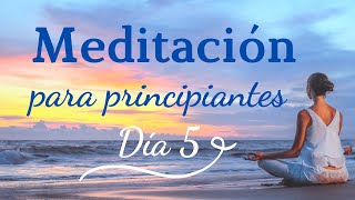 Mindfulness Meditation for Beginners || Day 5 (22 minutes)