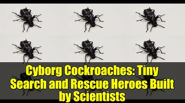 Cyborg Cockroaches: Tiny Search and Rescue Heroes Built by Scientists