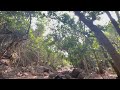 Power (Shakti) - Messages Volume 1