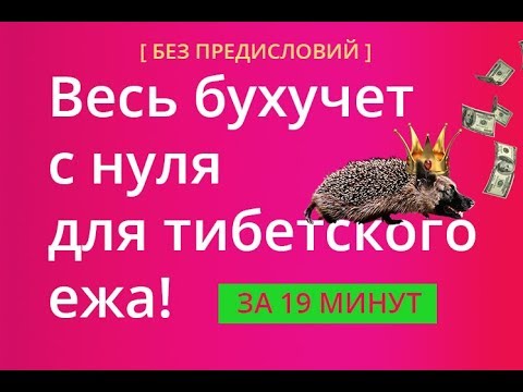 Весь бухучет с нуля для тибетского ежа! За 19 минут, без предисловий