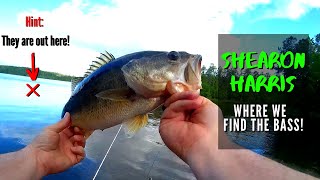 Shearon Harris Bass Fishing - The Strategy We Use to Consistently Find and Catch Bass