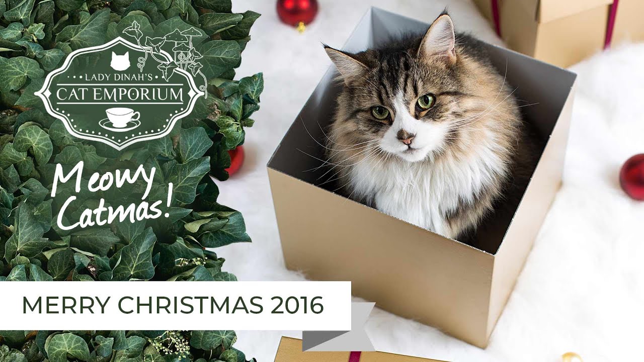 cats inn Merry Christmas from Lady Dinah's Cat Emporium!