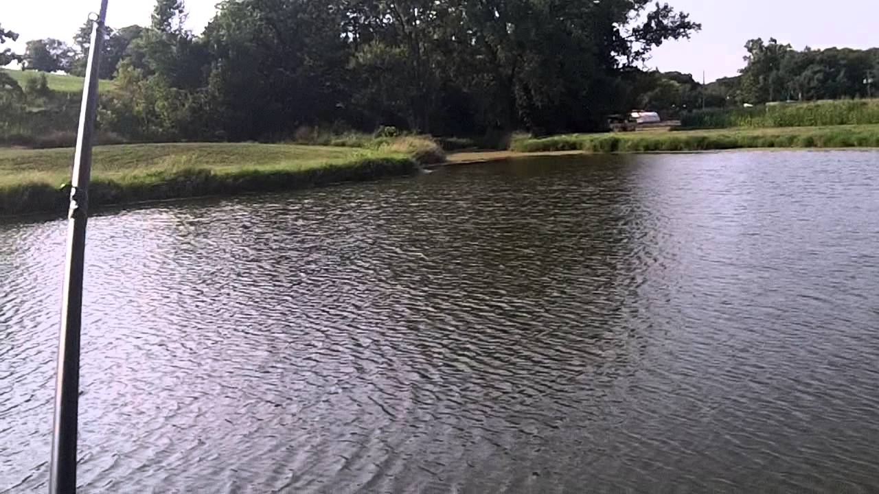Pond fishing Crankbaits YouTube