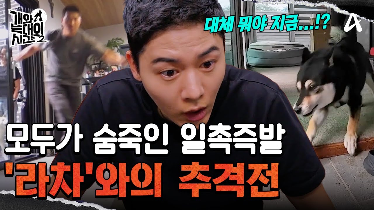 모두가 숨죽인 일촉즉발의 상황! 강 훈련사와 '라차'의 추격전?! | 개와 늑대의 시간2 33 회