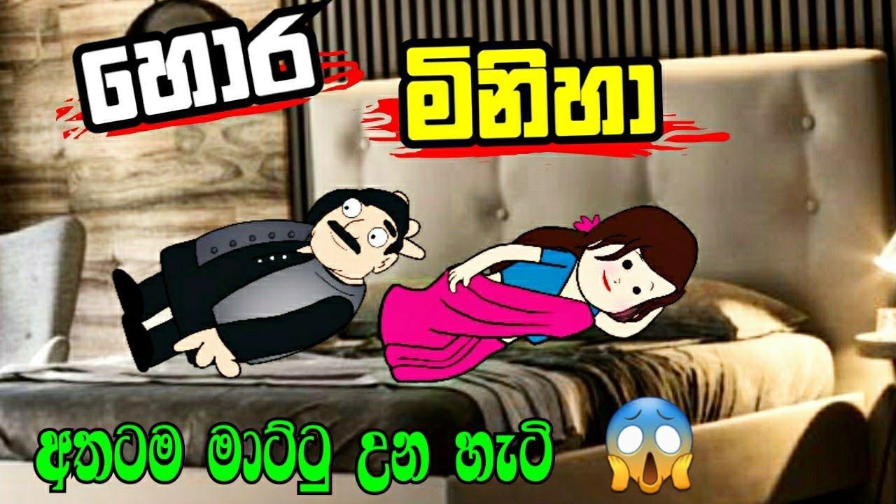 හොර මිනිහා Sinhala dubbing cartoon Funny dubbing cartoon Sl
