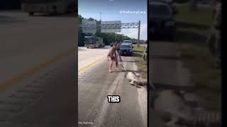 Man Wrestles Alligator on Florida Highway #comedy #funny #shorts #funnynews #weirdnews