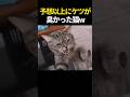 予想以上に臭かった猫w