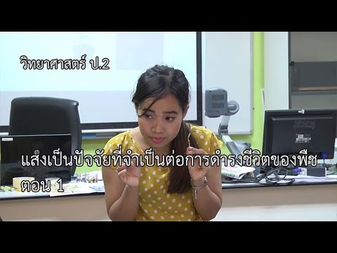 วิทยาศาสตร์ ป.2 แสงเป็นปัจจัยที่จำเป็นต่อการดำรงชีวิตของพืช ตอน 1 ครูอัจฉรา โพธิ์สุวรรณ