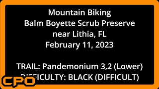 MTB - Pandemonium 3,2 - Balm Boyette - 2-11-23