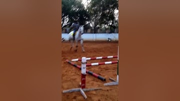 A Simple Three Part Gymnastics Exercise: For Your Horse