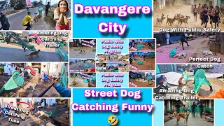 Street Dog Catching Funny 🤣 | Gojo Is Come Back Dog Catch | Davangere City Dog Catching #dog #funny