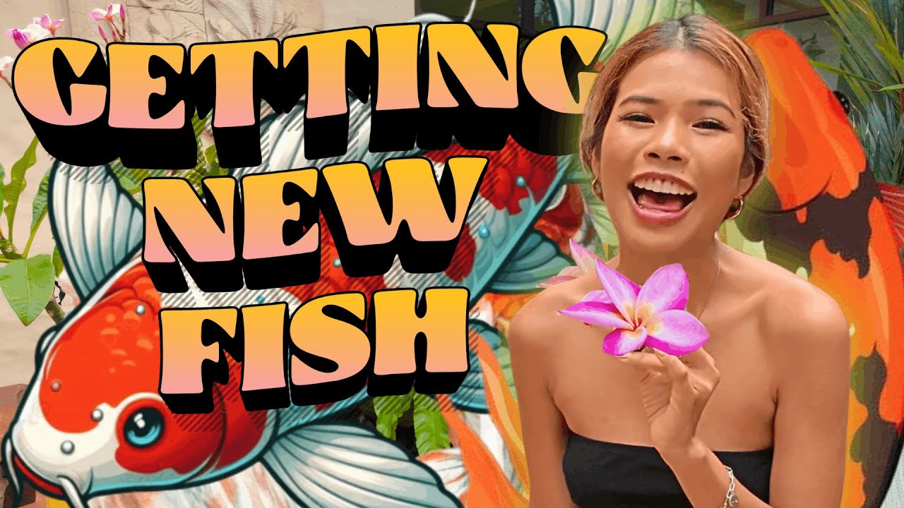 My Insane Backyard Pond Build!! From Murky to CRYSTAL CLEAR