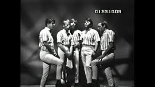 Shindig! 4/21/1965, Ft. The Beach Boys