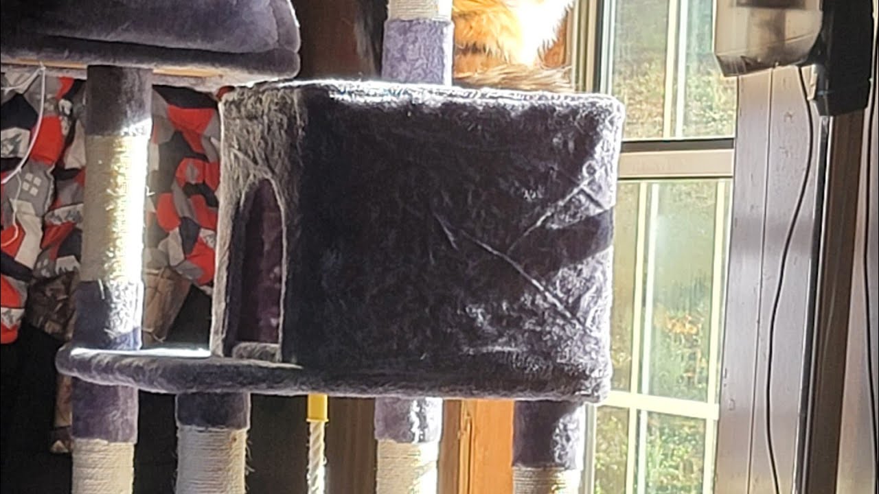 Putting together YAHEETECH 58 inches Multi-Level Cat /Tree /Tower/Condo