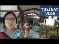 Joy Mangalbar|Bolpur Kalishayar Mandir।Jaishthya Maser Mangalbare Ma Mangal Chandir Brata|Fasting
