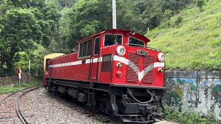 《阿里山小火車體驗》搭阿里山小火車/爬獨立山/邀請蝴蝶來到我手上/遇見有緣貴人