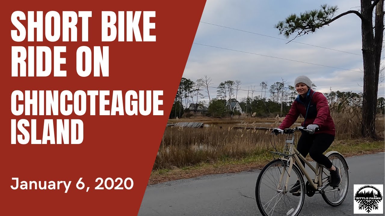 Bike Ride On Chincoteague Island YouTube