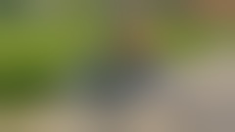 Funny FAILS of the month October 2015 || Epic Fails Compilation || Failtastic