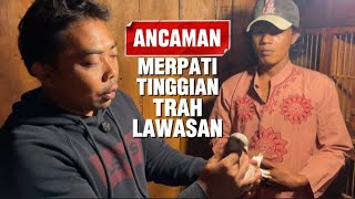 TRAH LEGEND MERPATI TINGGIAN ADA DI KANDANG RHN SALATIGA