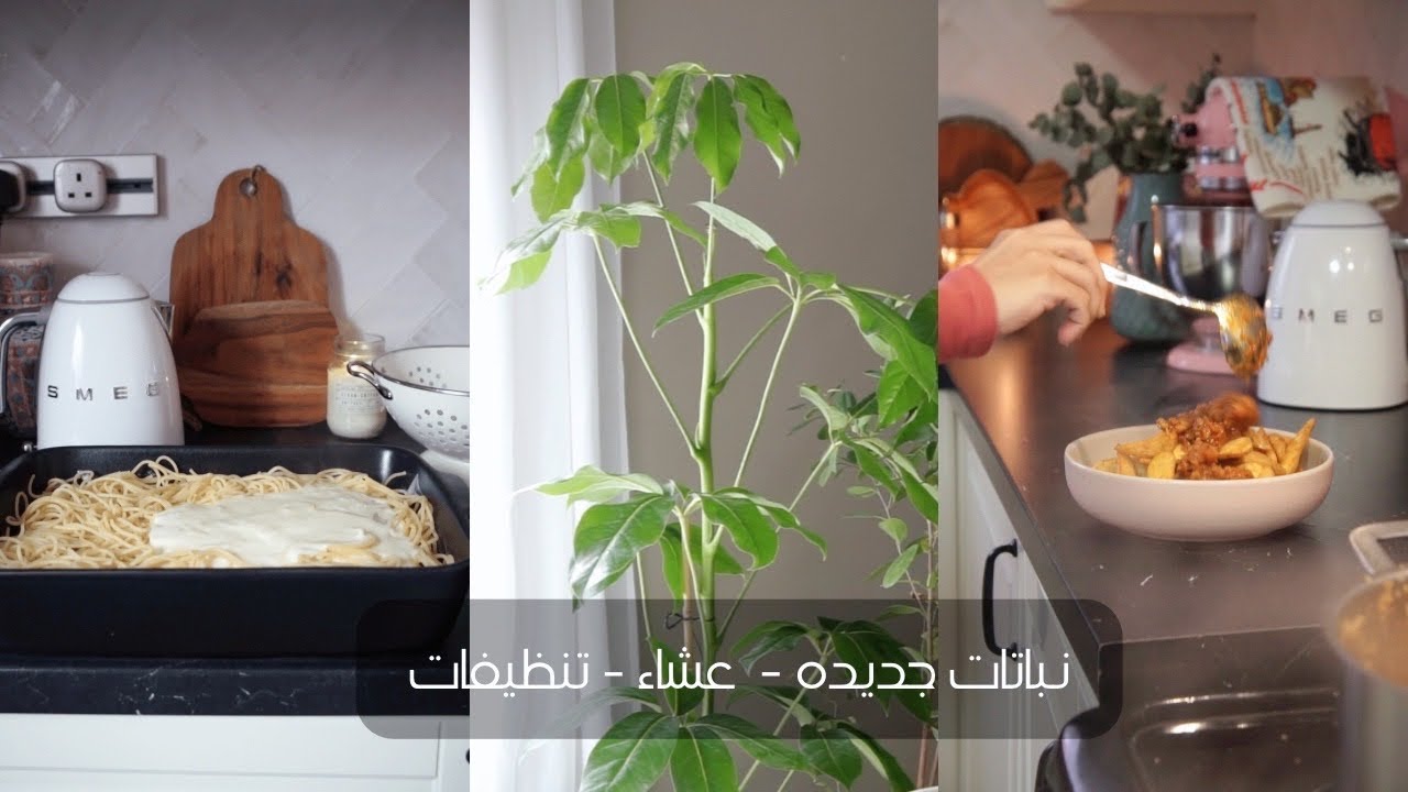 نباتات جديدة 🪴 | اطعم بشاميل 🍝 | تنظيف المطبخ وفرن السيراميك 🧽