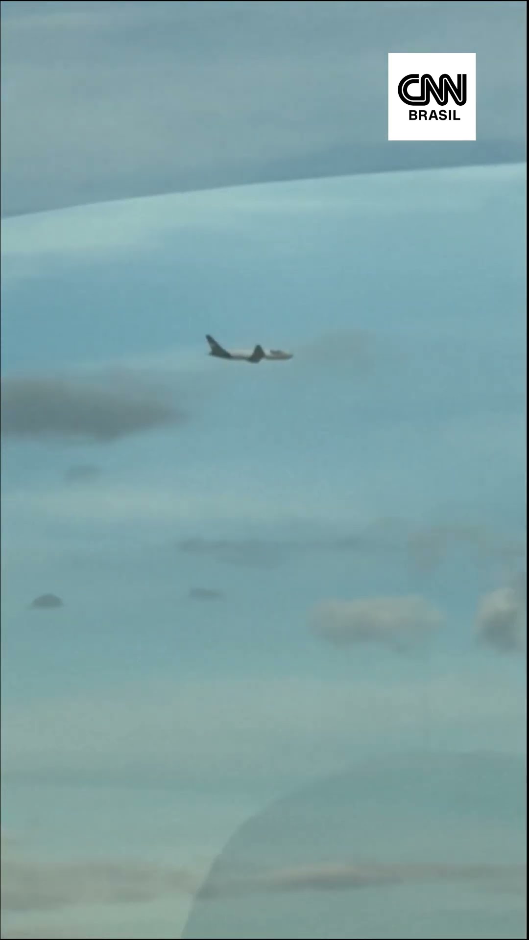 Avião faz pouso forçado nos EUA após ser atingido por pássaros
