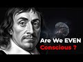 Every Philosophical Argument About Consciousness 
