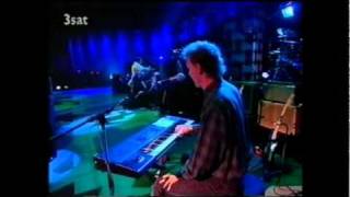 Roger Waters - Guitar Legends Festival 1991 (TV)- Comfortably Numb