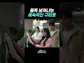 풀소유 K-구미호 #오늘부터인간입니다만