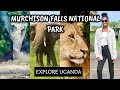 Exploring Murchison Falls National Park In Uganda Safari Drive Hiking To The Top Of The Falls Exploring Murchison Falls National Park In Uganda Safari Drive Hiking To The Top Of The Falls