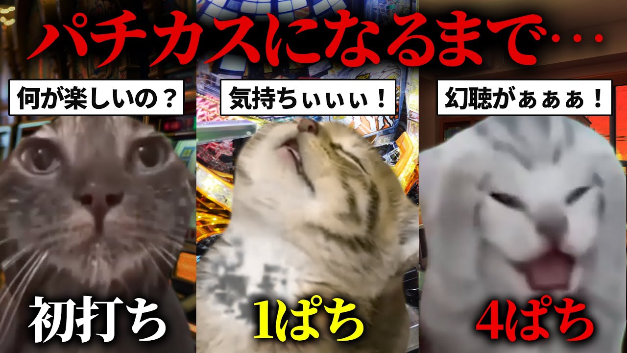 【総集編】一般人がパチンコにハマるまでの話（時系列順）【猫ミーム・猫マニ】