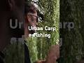 Urban Carp Fishing 🇬🇧