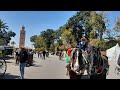 El koutoubia mosque cinematic  koutchi  jemaa el fna  marrakech   morocco