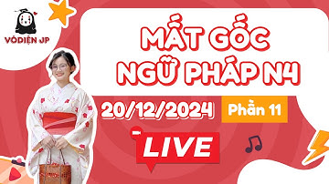 MẤT GỐC NGỮ PHÁP N4 Phần 11 | Ôn tập N4 | Mất gốc tiếng Nhật sơ cấp.