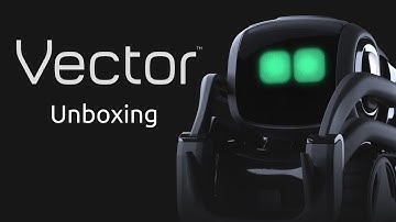 THIS THING WILL REVOLUTIONIZE THE WORLD!!! | Vector Unboxing and Review