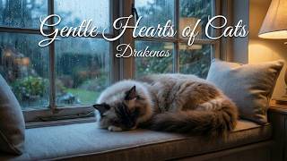 Gentle Hearts of Cats | Most Relaxing & Emotional Music #music  #cat  #relaxing screenshot 4