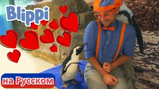 Блиппи посещает необычный океанариум! | Блиппи на Русском | Изучай этот Мир вместе с Блиппи | Blippi