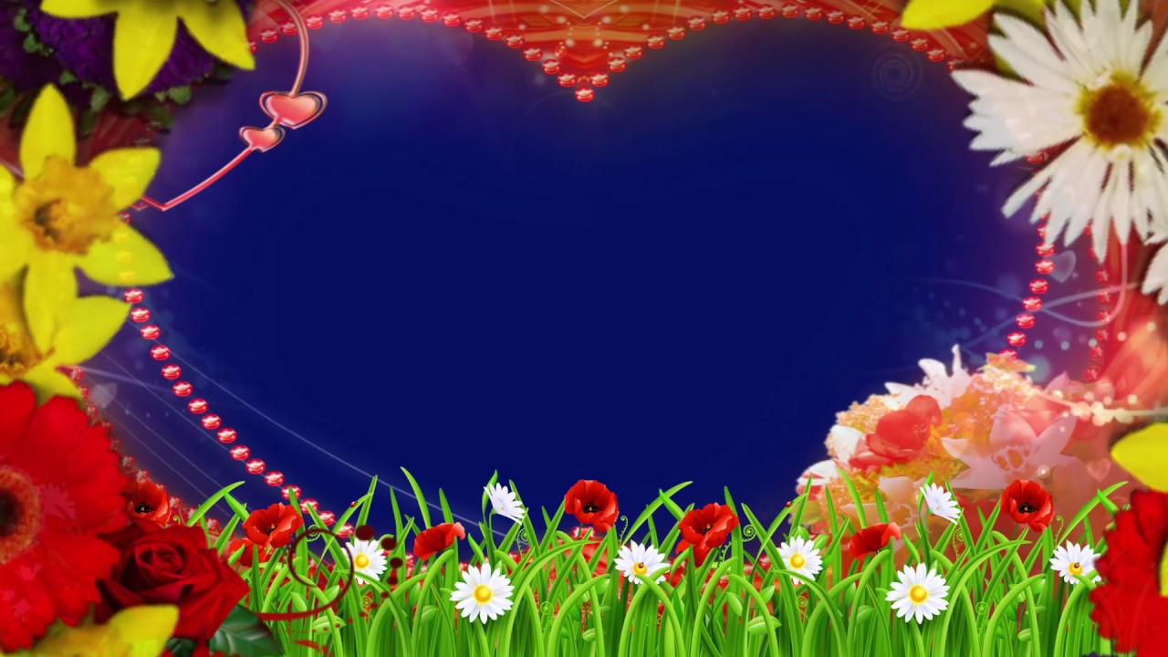 Wedding Video Background Blue Screen