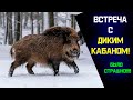 Встреча с ДИКИМ КАБАНОМ! БЫЛО СТРАШНО!