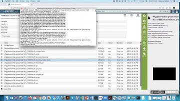 Downloading files generated by the PATRIC Genome Annotation Service