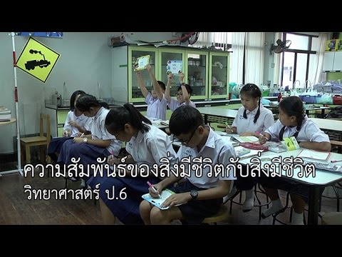 วิทยาศาสตร์ ป.6 ความสัมพันธ์ของสิ่งมีชีวิตกับสิ่งมีชีวิต ครูศศิธร เขียวกอ