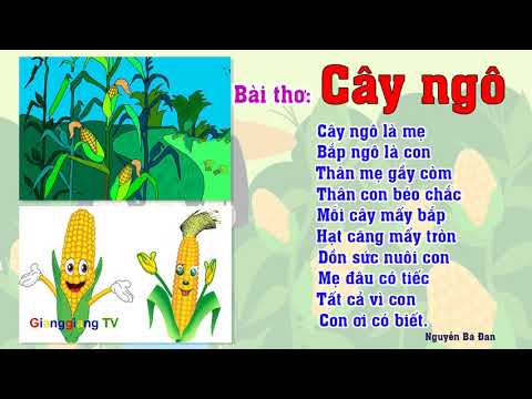Video Bài thơ Cây ngô - Thơ truyện mầm non - Đọc thơ cho bé... - youtube