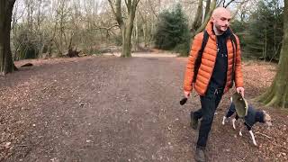 London Nature Walk: Discover Hampstead Heath  ASMR [4K]