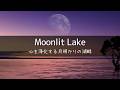 Healing｜Dreamy Lake Water and Birds at Moonlit Dawn (1h)｜Deep Sleep・Cleansing・ASMR